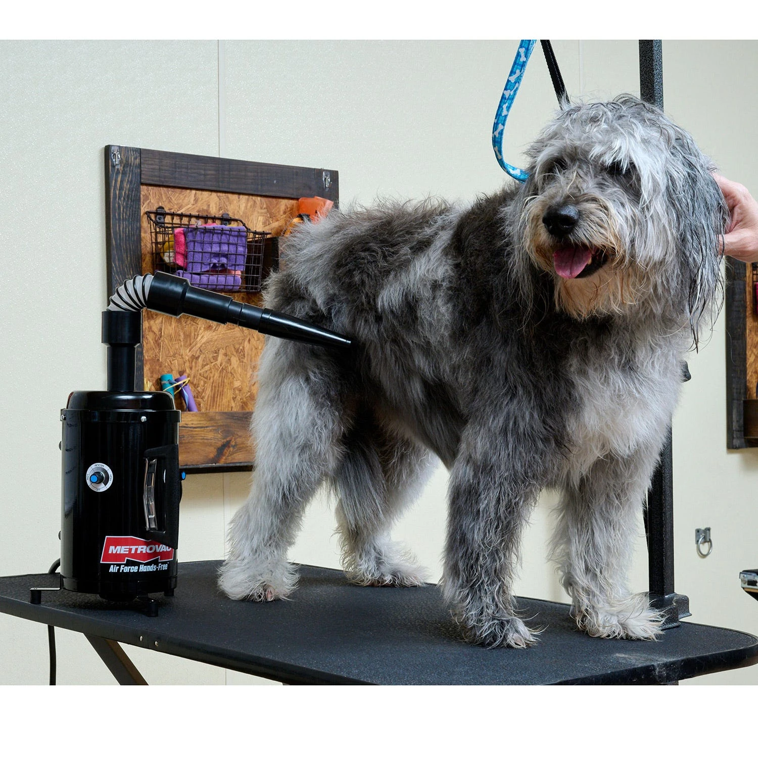 Metrovac Air Force Hands-Free Pet Dryer - Image 3