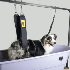 Grooming Safety By Jessica - The Belly Band