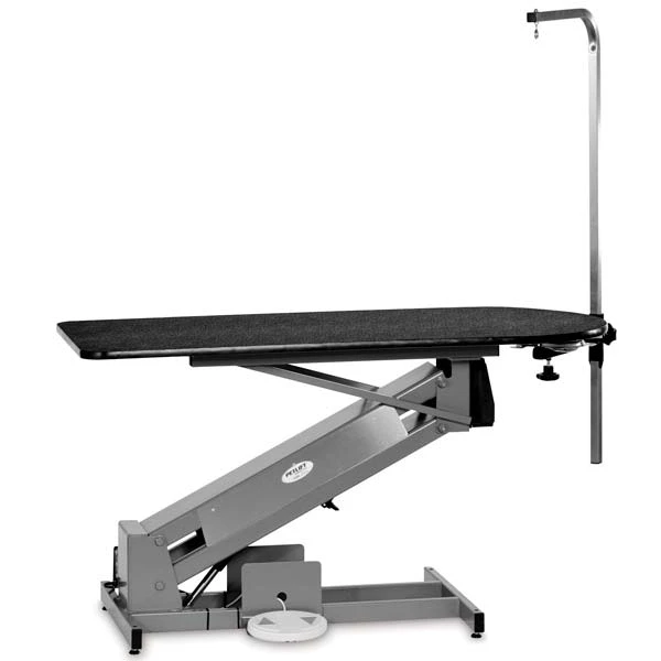 PetLift MasterLift Dlx Fixed-Top Electric Tables - Image 2
