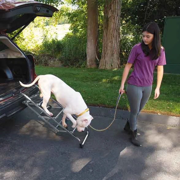 Master Equipment Pet Stairs - Image 4