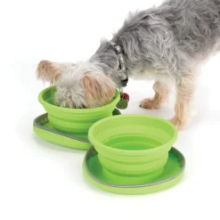 Cruising Companion Collapsible Silicone Travel Diner