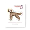 Paragon Theory Of Five Book Second Edition By Melissa Verplank