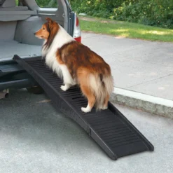 Cruising Companion Black Tri-Fold Vehicle Pet Ramp